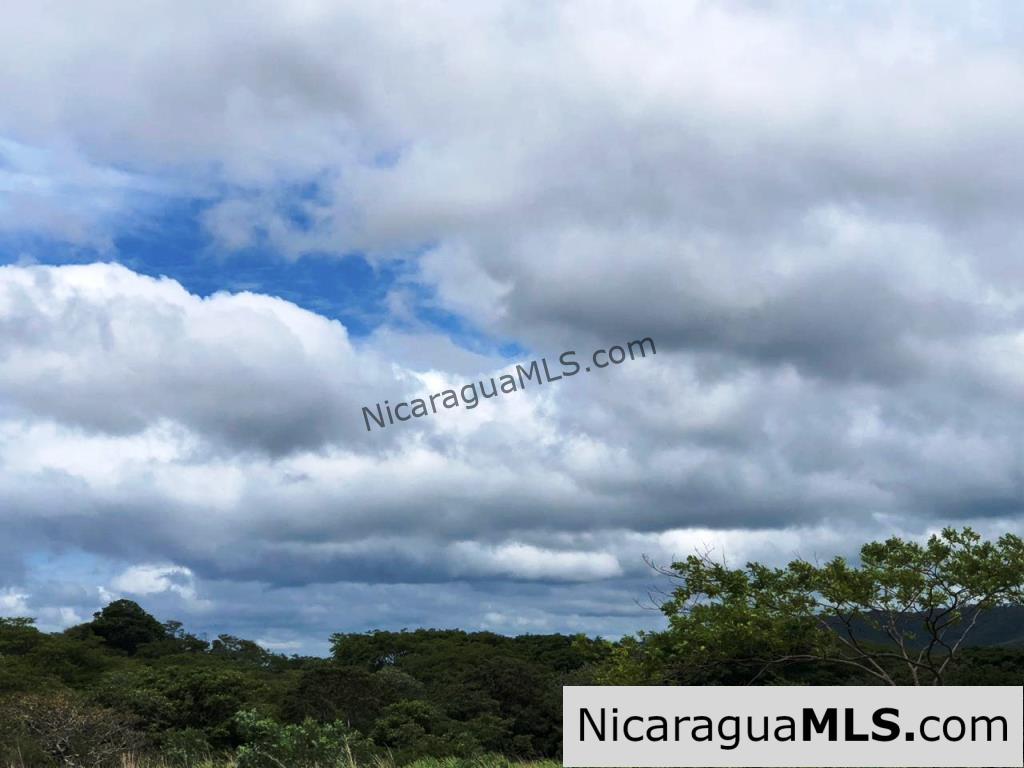 4 Acres in Las Delicias on the Road to Playa Coco - Image 4