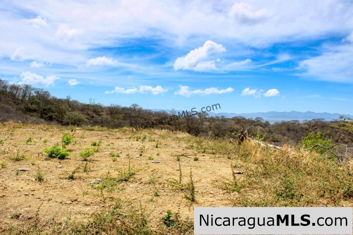 2.5 acres Panoramic Ocean Views Hilltop Ostional - Image 10