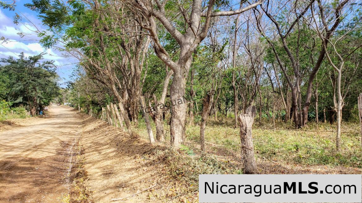 Premium Acre Road to Beaches No Restrictions San Juan del Sur - Image 15