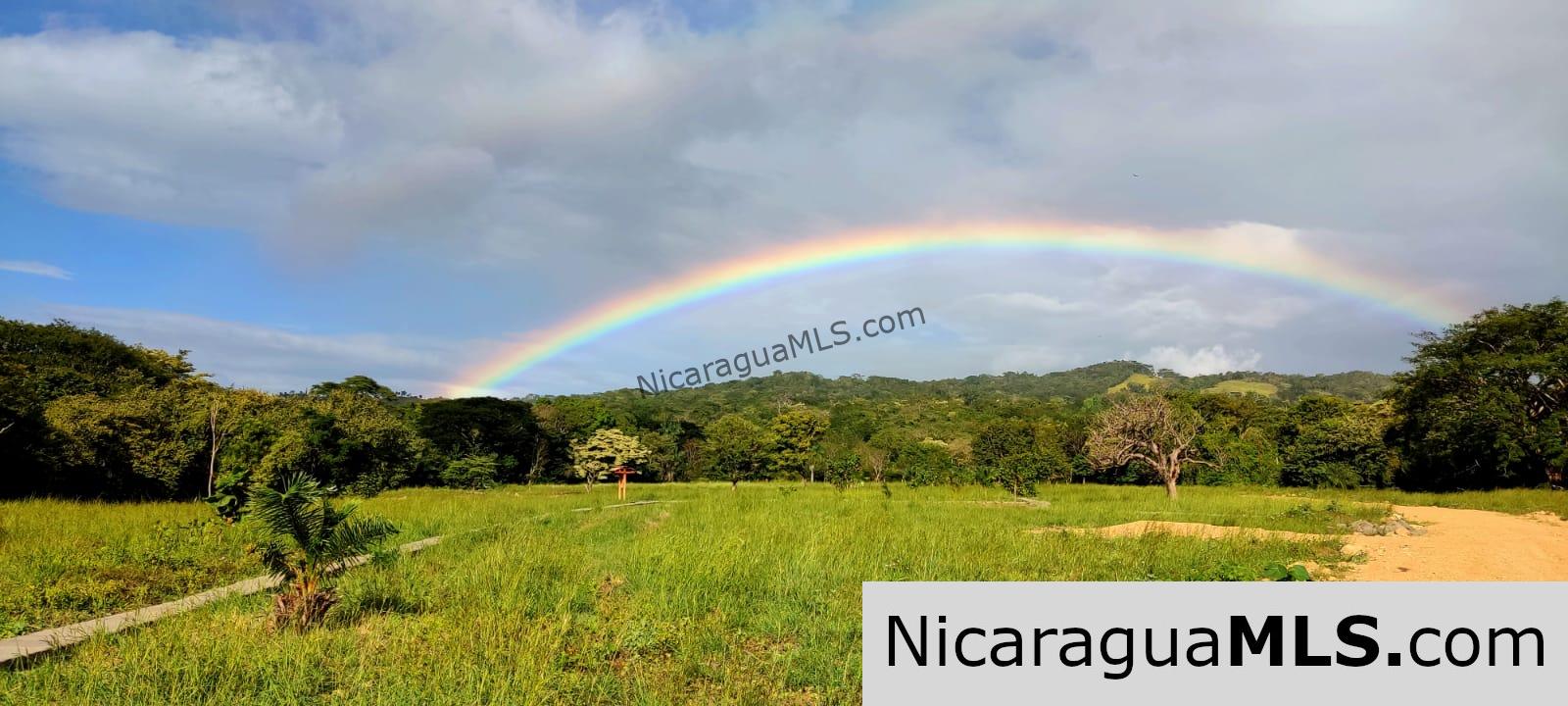 17 acres property with Investment opportunity - Image 3
