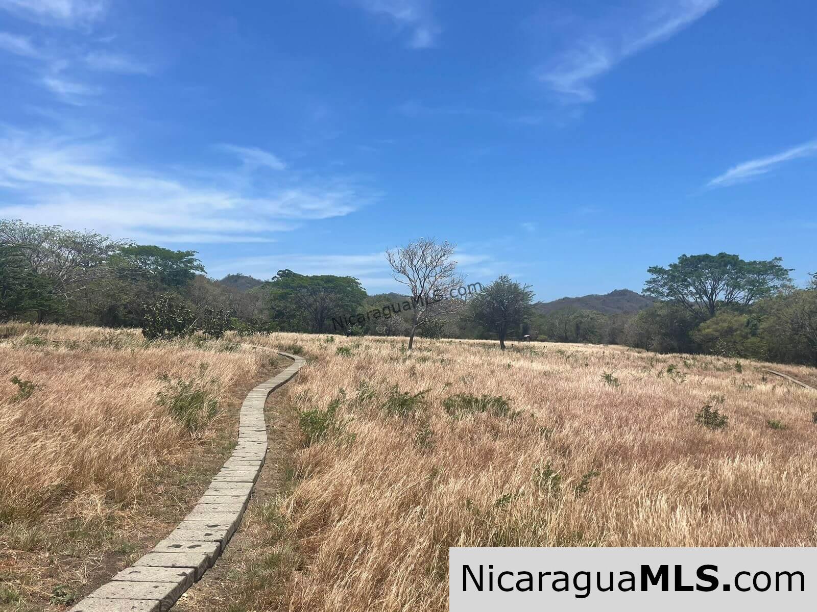 17 Acres Property with Investment Opportunity EL Oro - Image 13