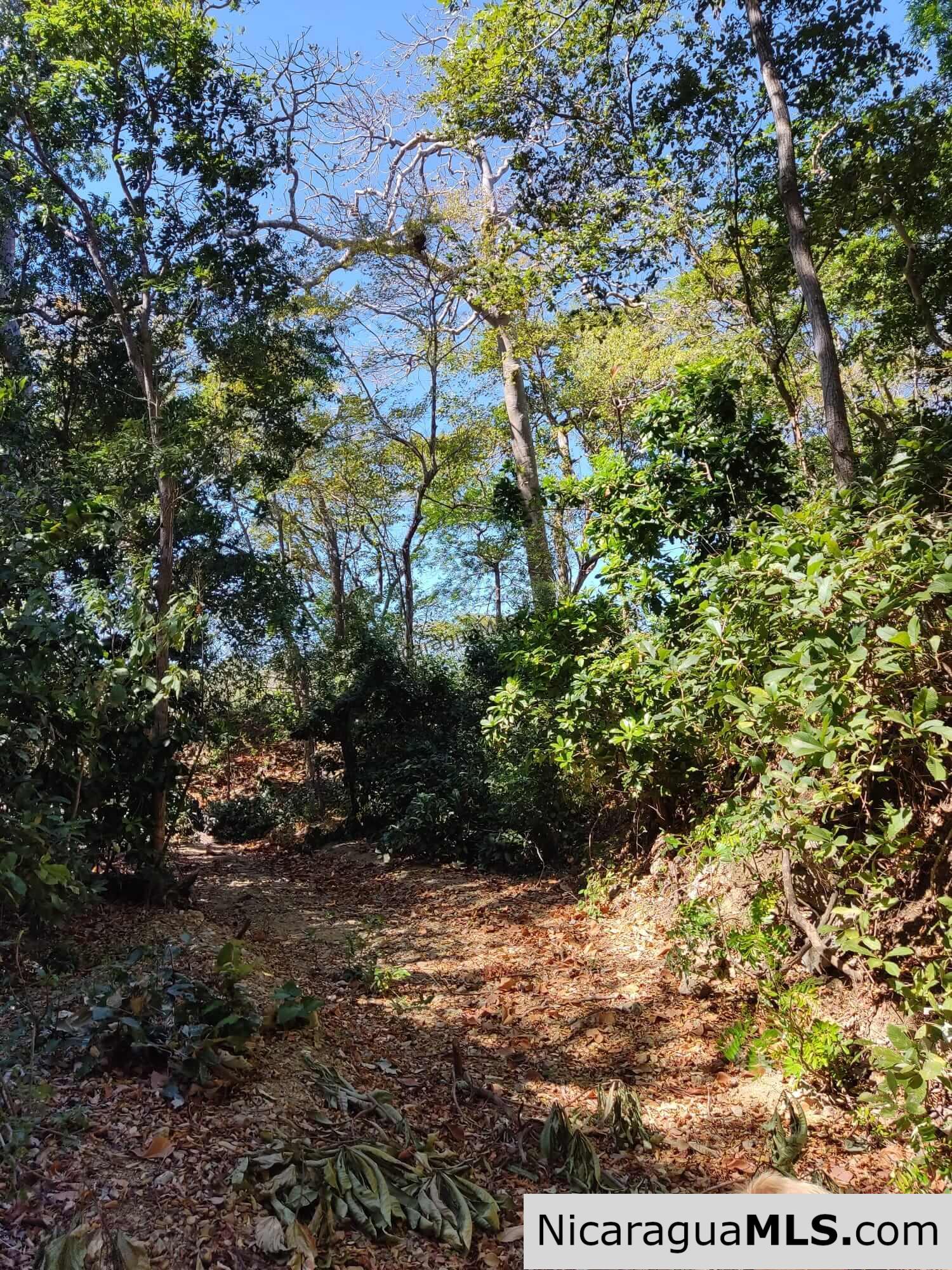 17 Acres Property with Investment Opportunity EL Oro - Image 17