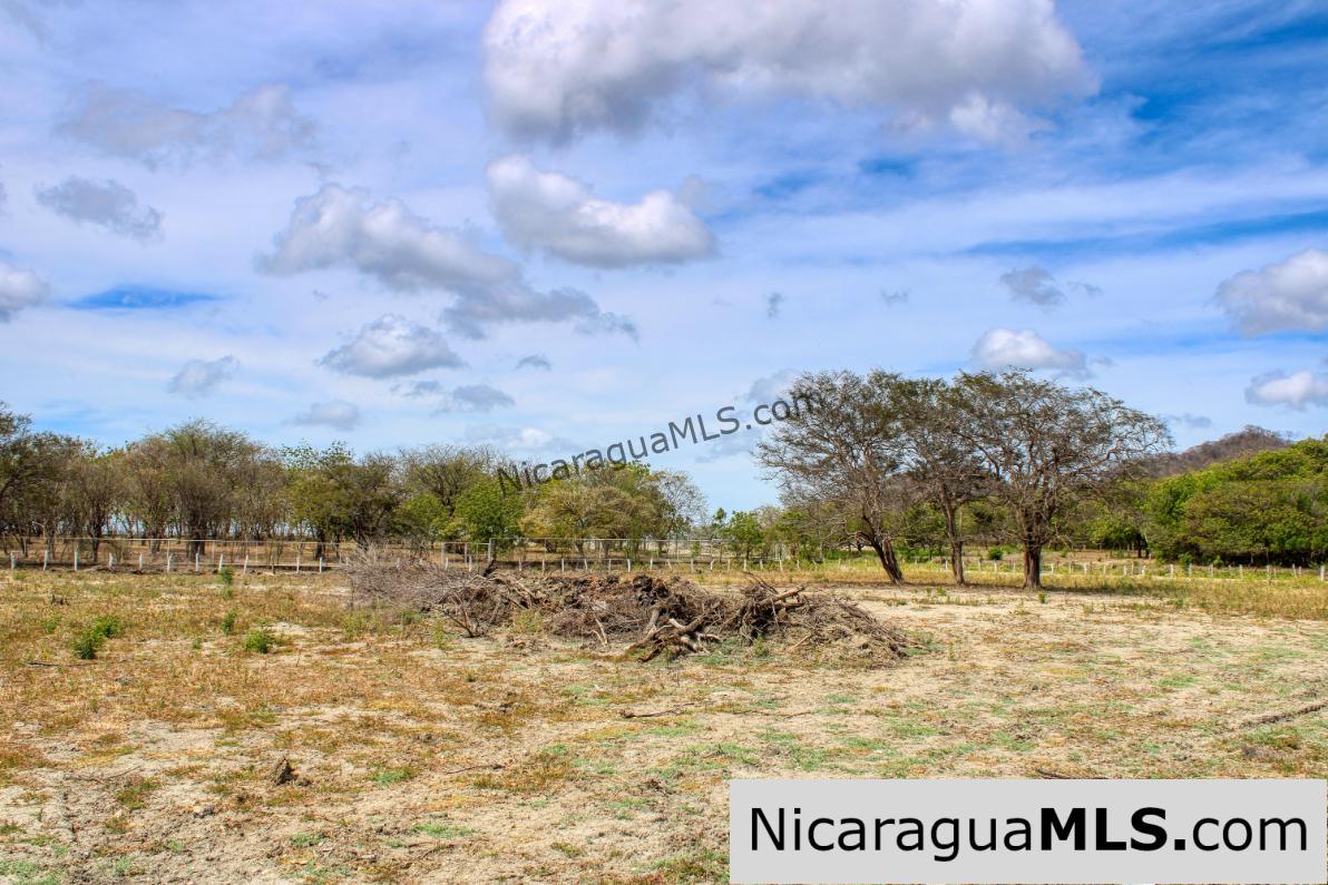 1 Block to Ocean 3.5 acres Lots 5 & 6 Prado de la Bahia Ostional - Image 10