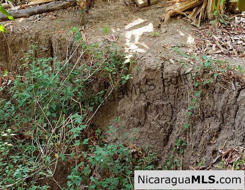 Three Phase 13 Manzana Banana Farm Between Rivas and Tola - Image 4