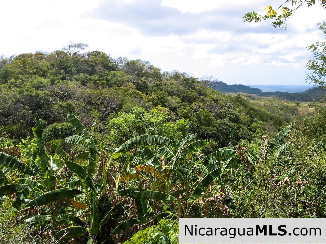Fire Sale: Incredible Ocean View Lot for Just $125,000 in San Juan del Sur!