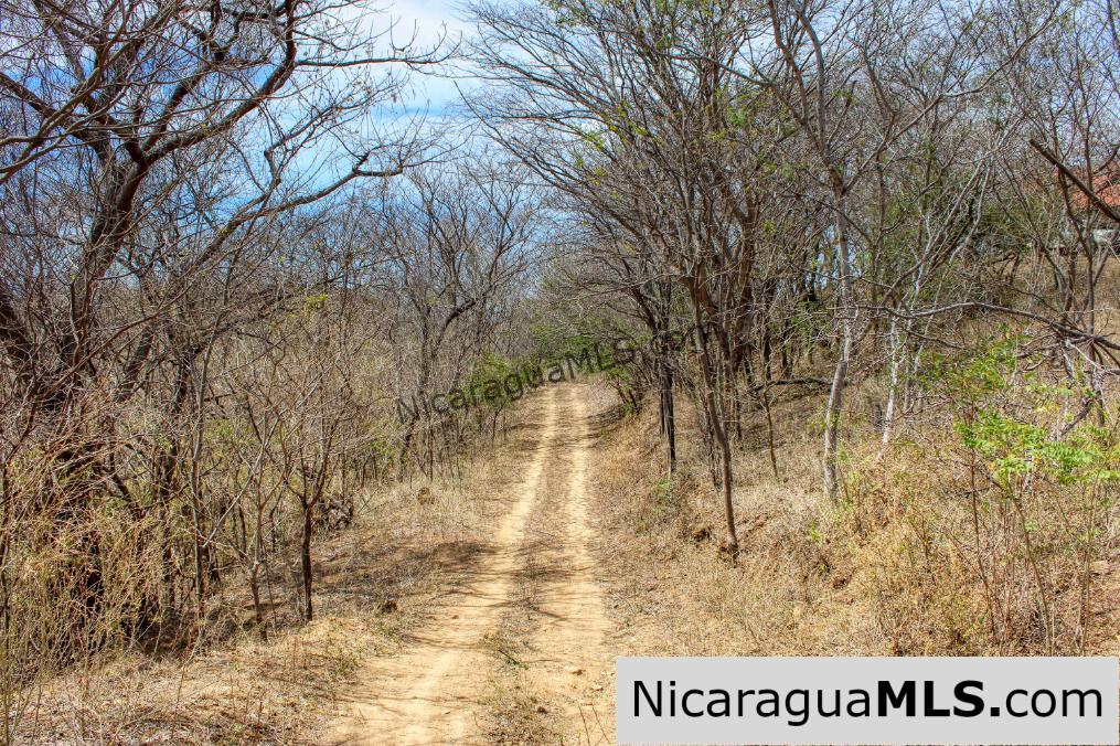 2.5 acres Panoramic Ocean Views Hilltop Ostional - Image 9