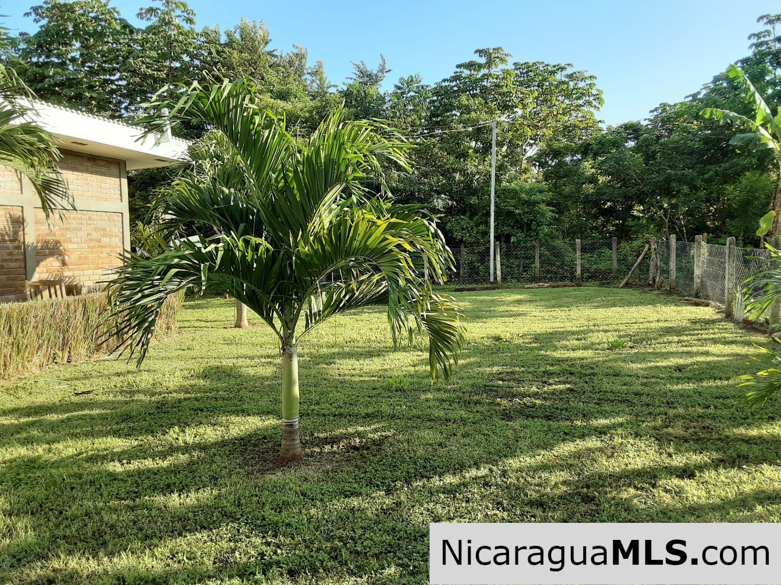 Beautiful House with 60 80 Fruits Tree in Rivas - Image 8