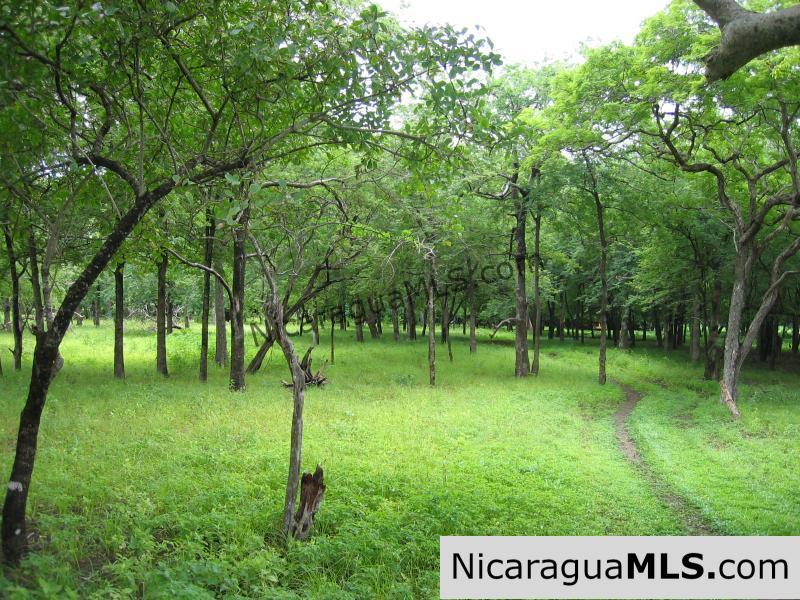 The Largest Beachfront Property in All of Tola Playa Icacal. - Image 5