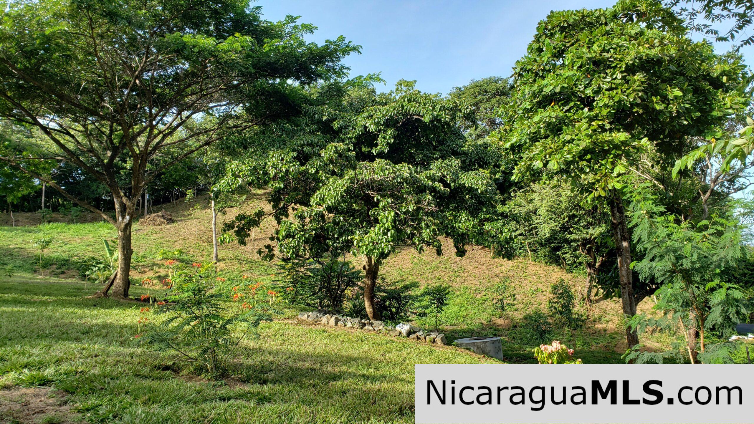 Multi Use Land For Home or Business San Juan del Sur - Image 2