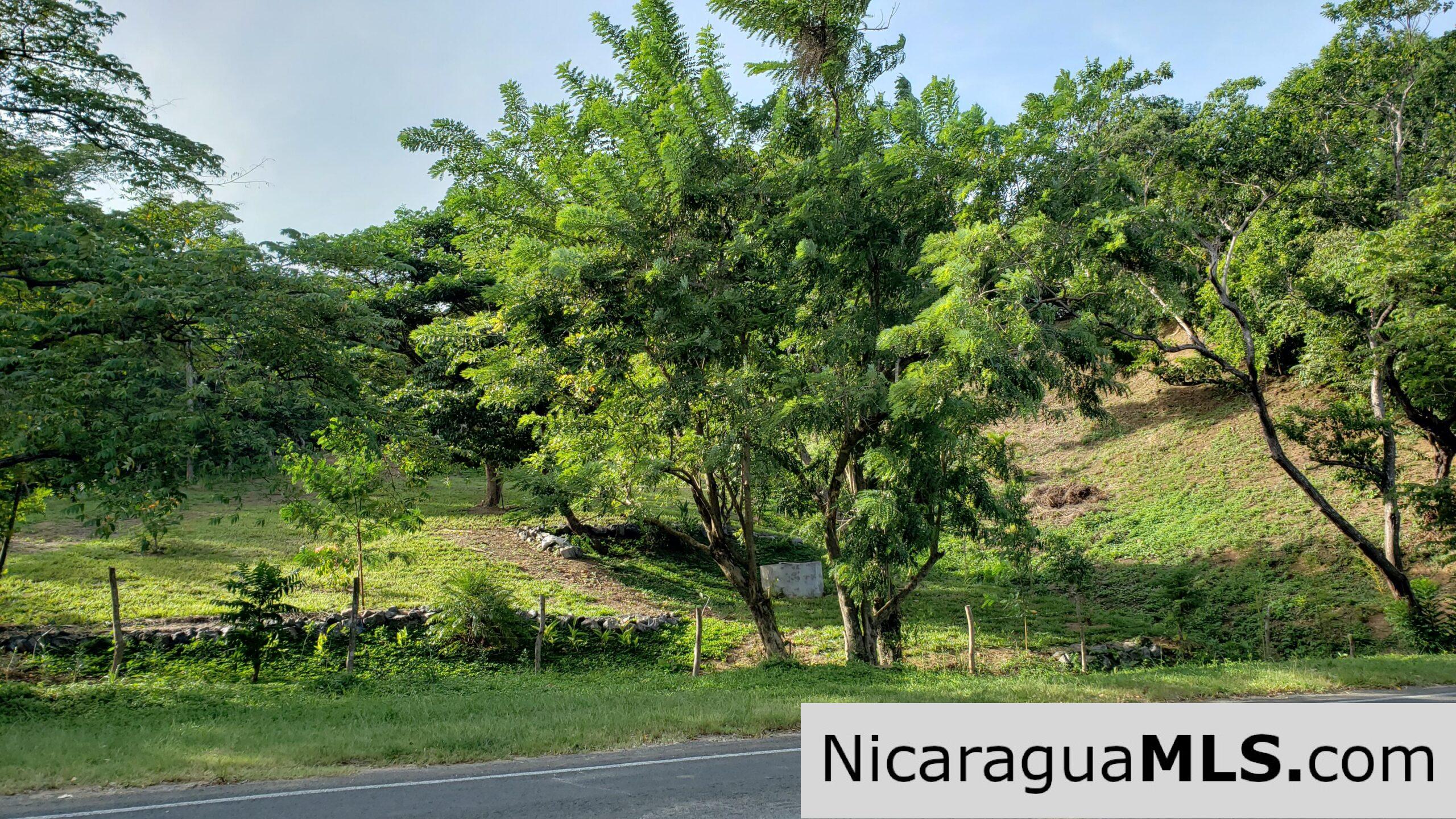 Multi Use Land For Home or Business San Juan del Sur - Image 10