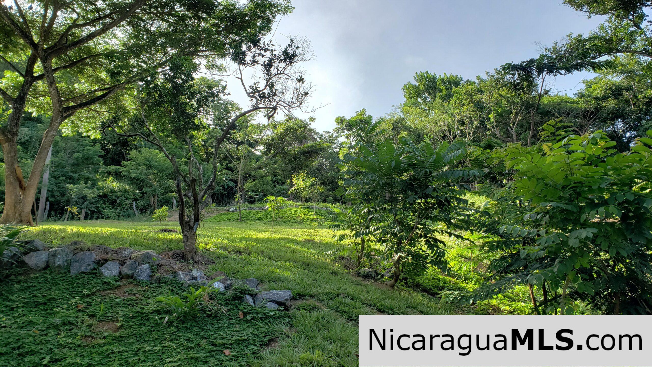 Multi Use Land For Home or Business San Juan del Sur - Image 13
