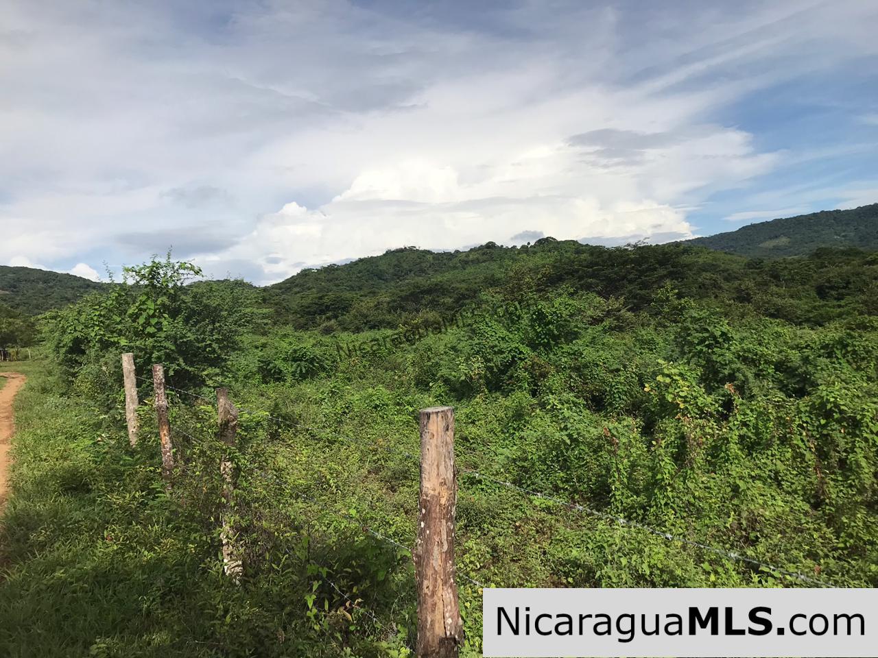 Flat Two Manzana Lot with Great Potential in Las Delicias - Image 2