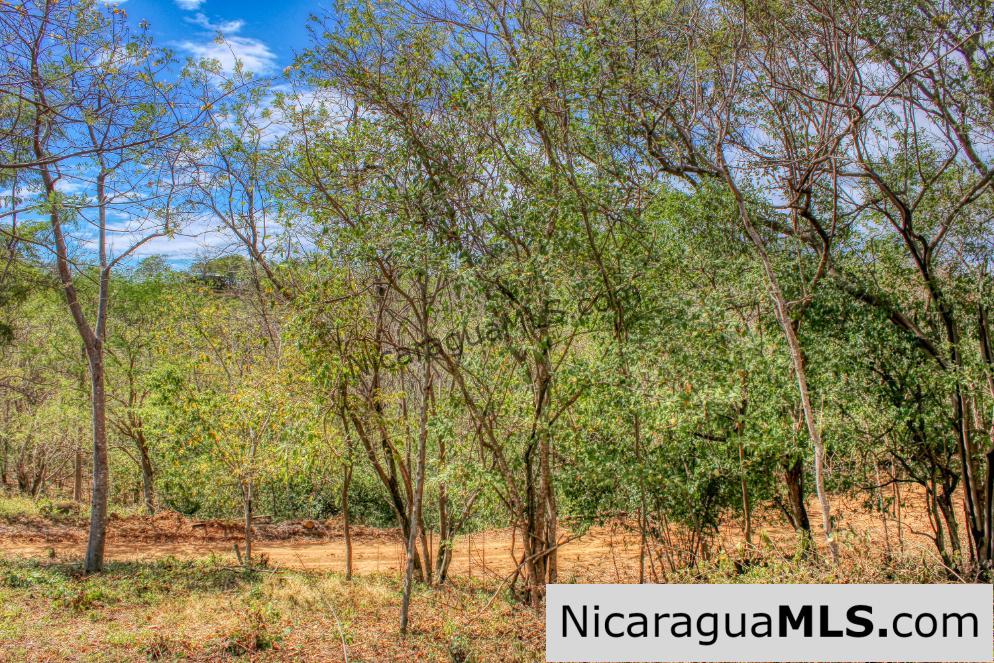 SOLD - Half Acre Lot Luxury Life Development Tree Casa FIRE SALE - Image 11