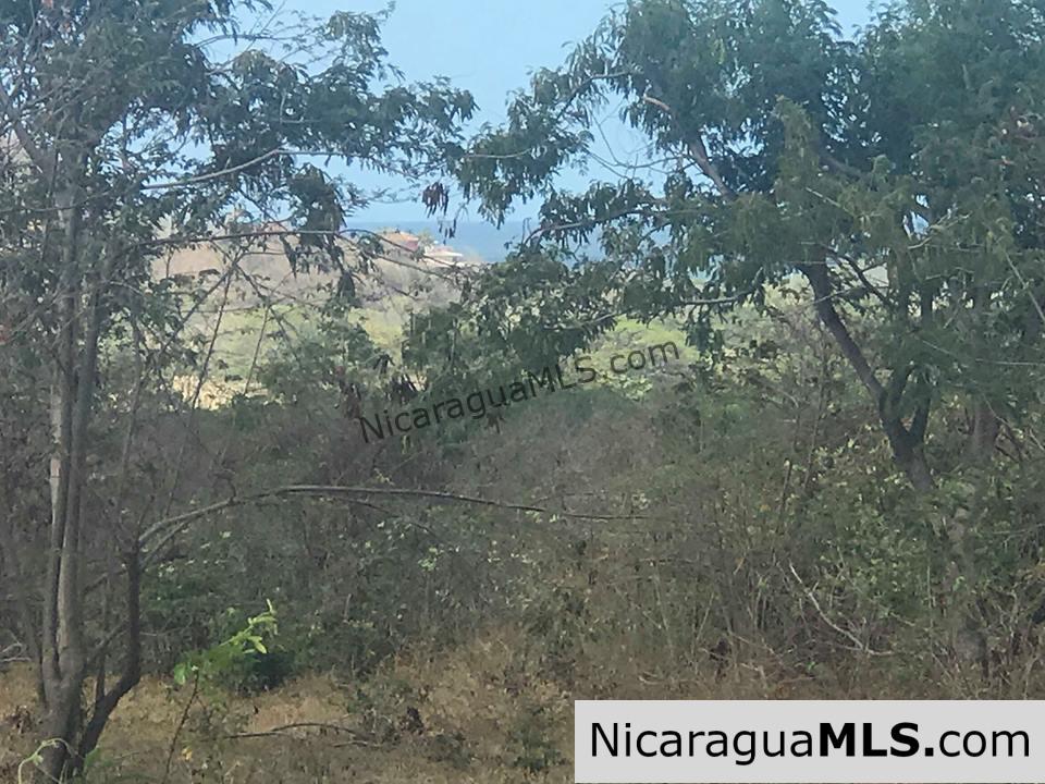 Ocean View Lot 46 for sale in Lomas de Palermo Overlooking SJDS - Image 8