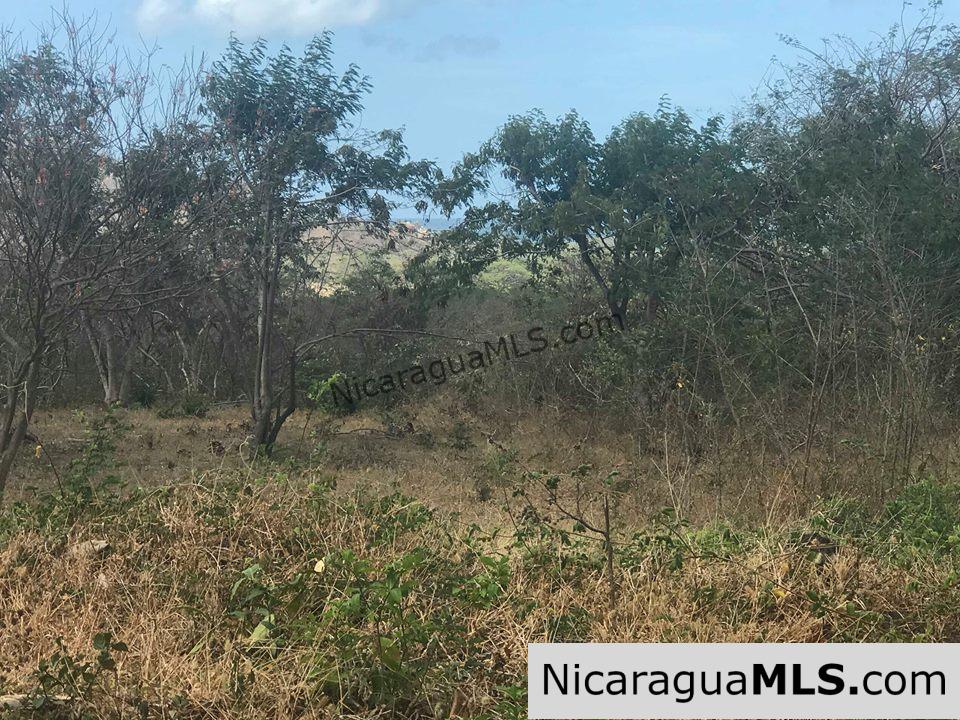 Ocean View Lot 46 for sale in Lomas de Palermo Overlooking SJDS - Image 10