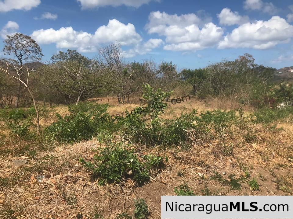 Ocean View Lot 46 for sale in Lomas de Palermo Overlooking SJDS - Image 11
