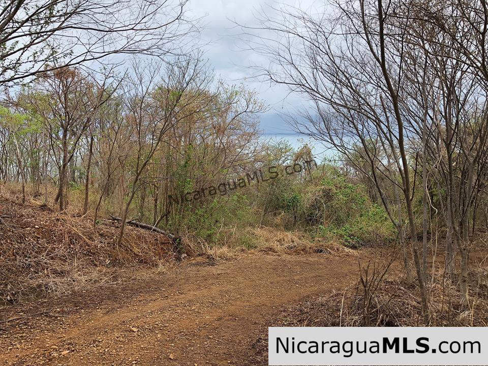 ¼ Acre Ocean View Lot for Sale at Playa Yankee - Image 3