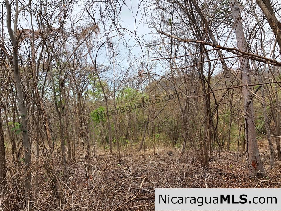 ¼ Acre Ocean View Lot for Sale at Playa Yankee - Image 4
