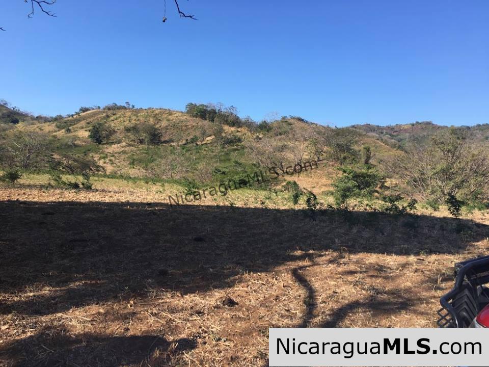 Unspoiled Jungle Property in Miravalle - Image 3