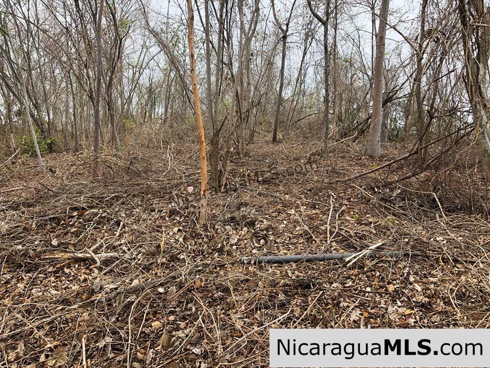 ¼ Acre Ocean View Lot for Sale at Playa Yankee - Image 5