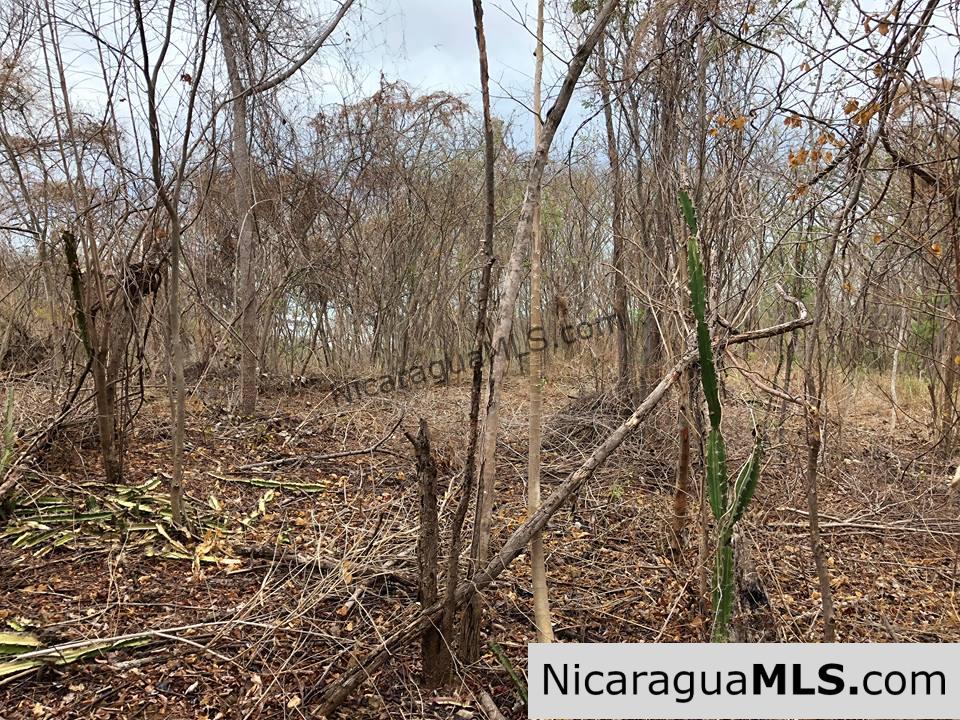 ¼ Acre Ocean View Lot for Sale at Playa Yankee - Image 7