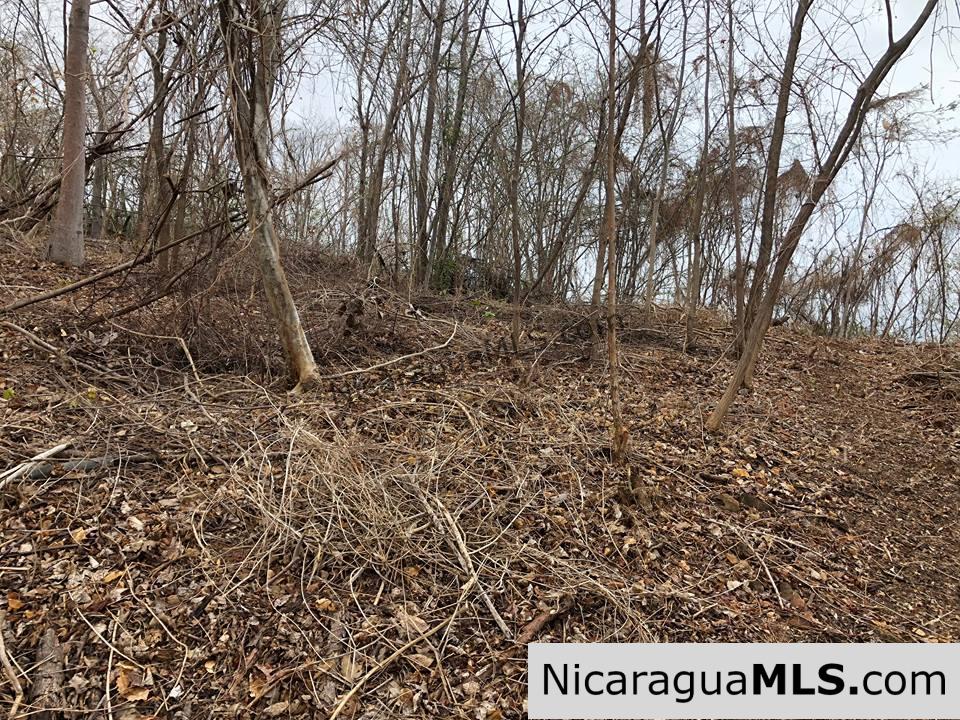 ¼ Acre Ocean View Lot for Sale at Playa Yankee - Image 8