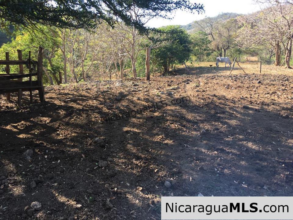 Unspoiled Jungle Property in Miravalle - Image 8
