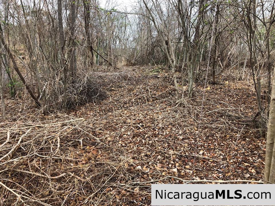 ¼ Acre Ocean View Lot for Sale at Playa Yankee - Image 10