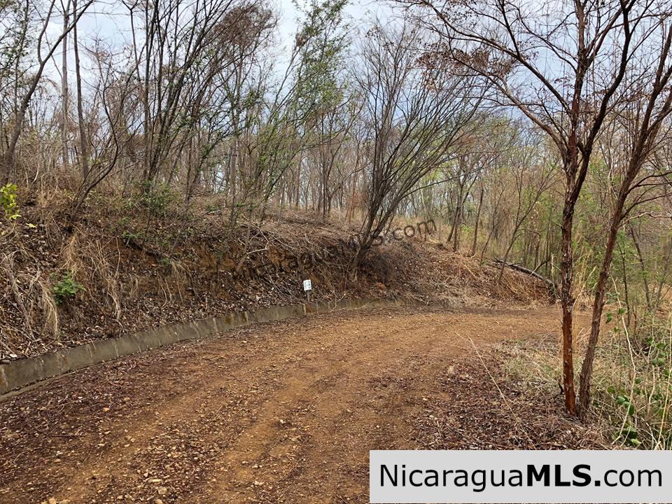 ¼ Acre Ocean View Lot for Sale at Playa Yankee - Image 11