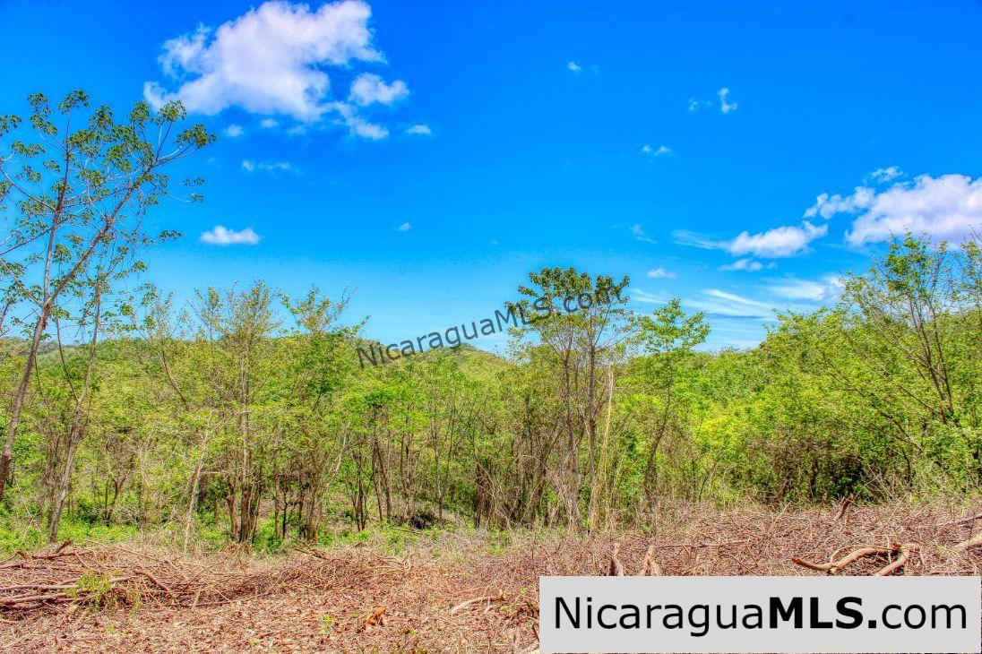 Eco Estate View Property 1.5 Acres Las Fincas de Escamequita - Image 5