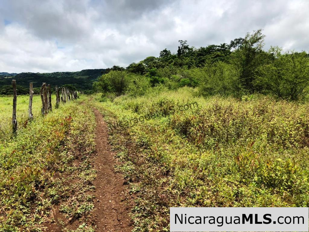4 Acres in Las Delicias on the Road to Playa Coco - Image 6