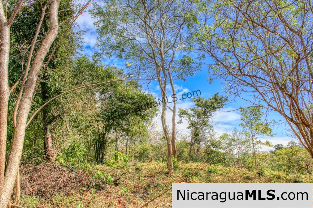 SOLD - Half Acre Lot Luxury Life Development Tree Casa FIRE SALE - Image 3