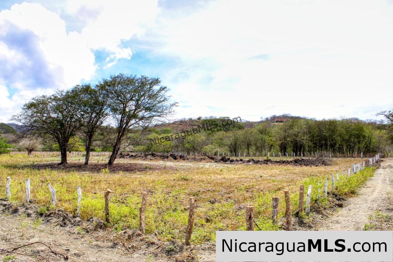 1 Block to Ocean 3.5 acres Lots 5 & 6 Prado de la Bahia Ostional - Image 5