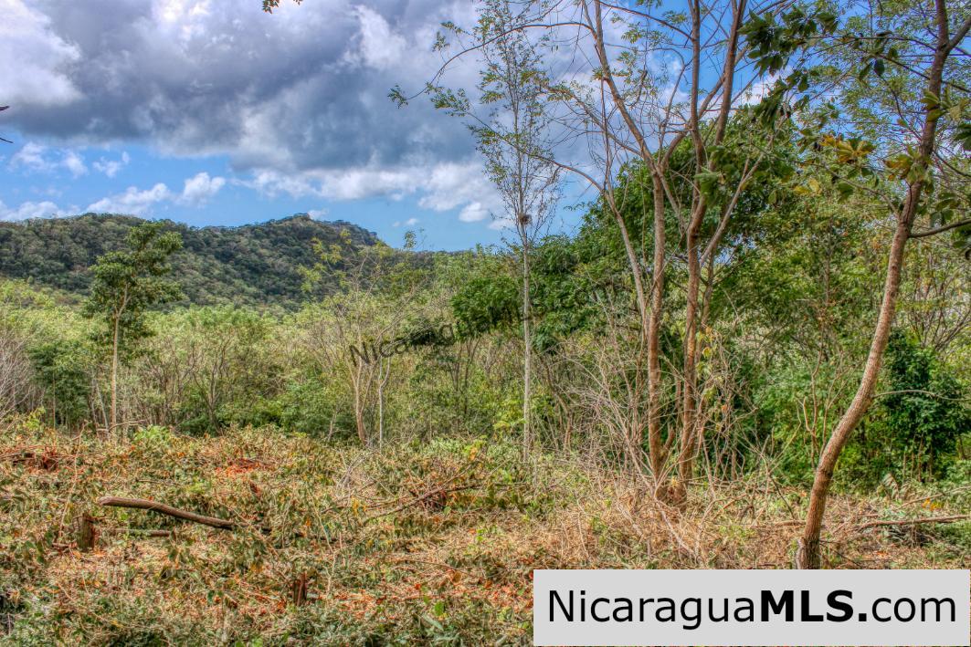Ocean View with Rolling Acres offers Privacy in Arriba Verde - Image 4