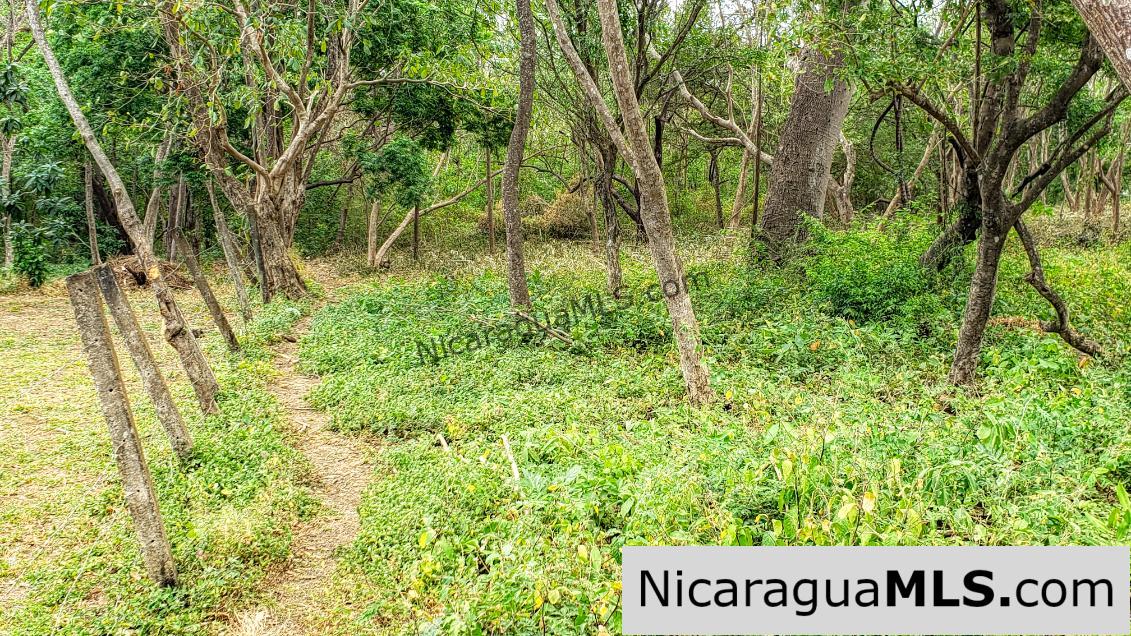 Premium Acre Road to Beaches No Restrictions San Juan del Sur - Image 5