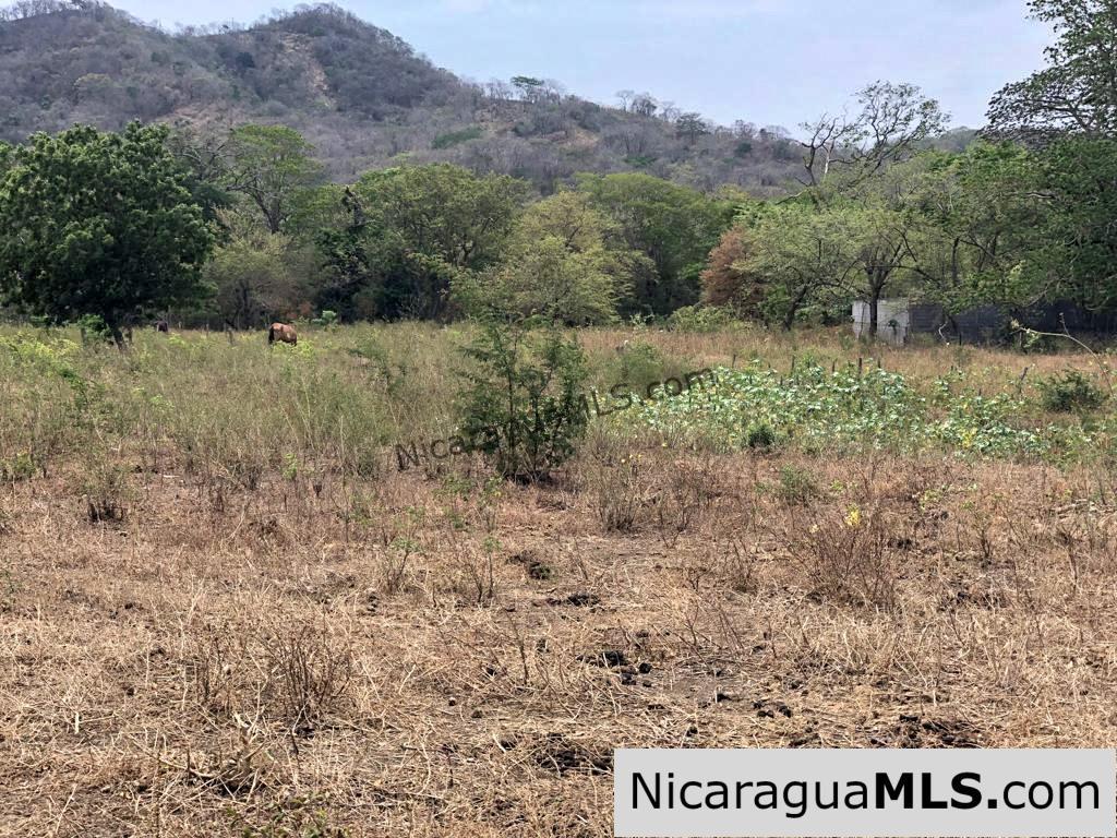 5 Acre Flat Lot For Sale on the Chocolata - Image 13