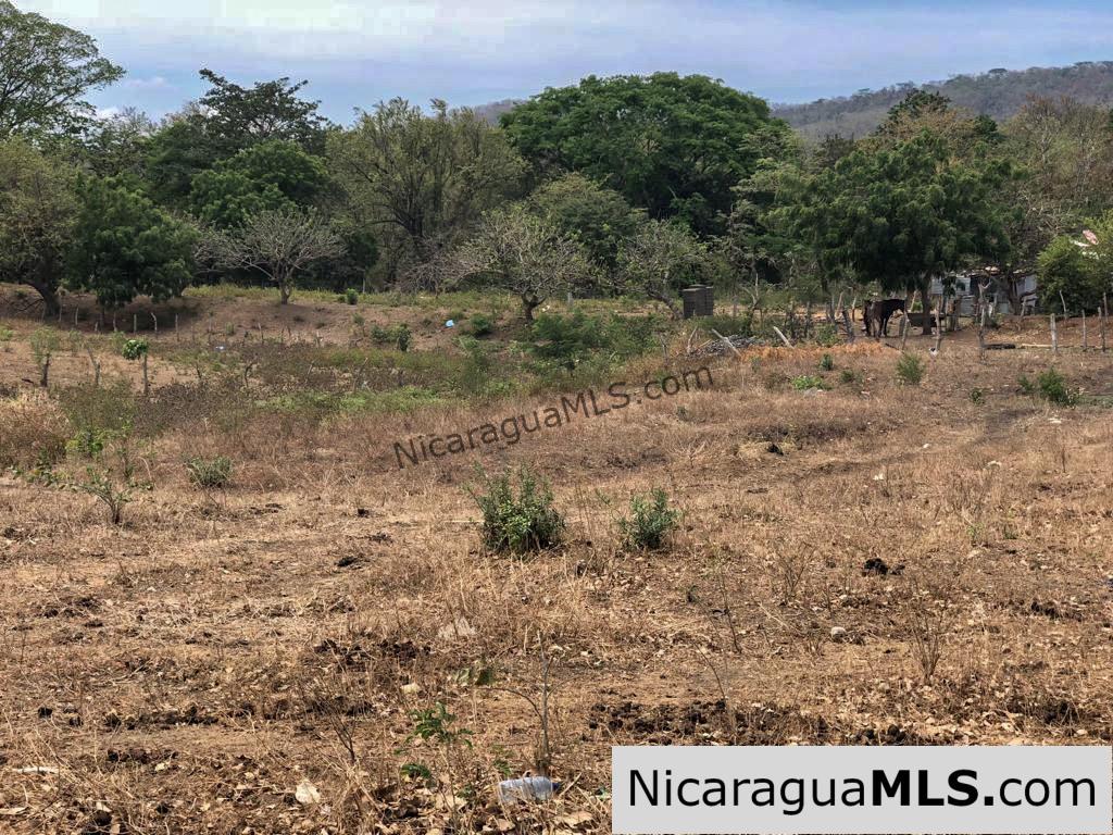 5 Acre Flat Lot For Sale on the Chocolata - Image 15