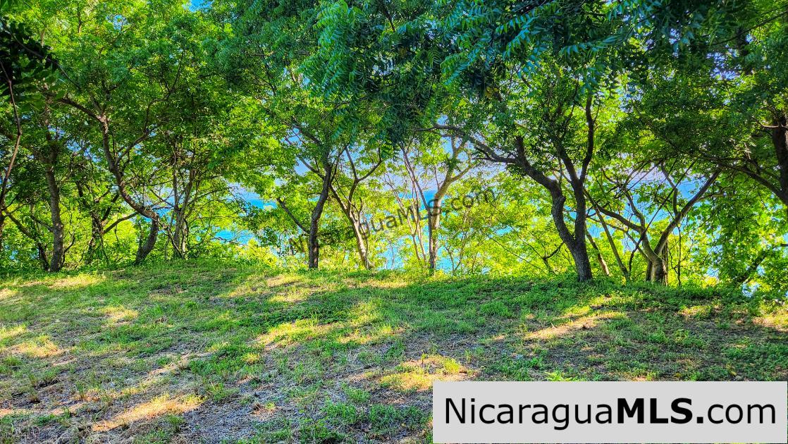 Panoramic Ocean View Pacific Marlin San Juan del Sur - Image 4