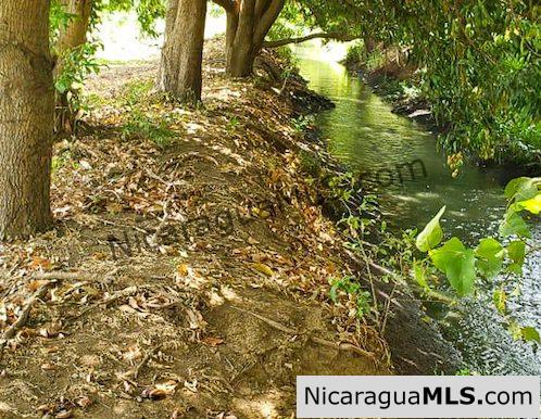 Six Manzana Banana Farm with Irrigation 13 km Outside Rivas - Image 4