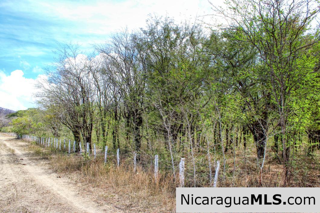 1 Block to Ocean 3.5 acres Lots 5 & 6 Prado de la Bahia Ostional - Image 8