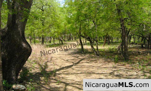The Largest Beachfront Property in All of Tola Playa Icacal. - Image 4