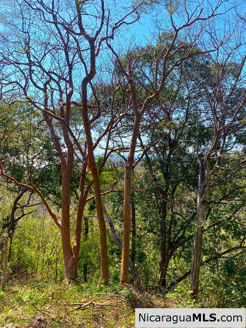 Vista Cinco Bahias lot 10 at Playa Maderas, north of San Juan del Sur - Image 7