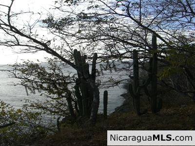 Buccaneer Point Ocean Front Lot - Image 5