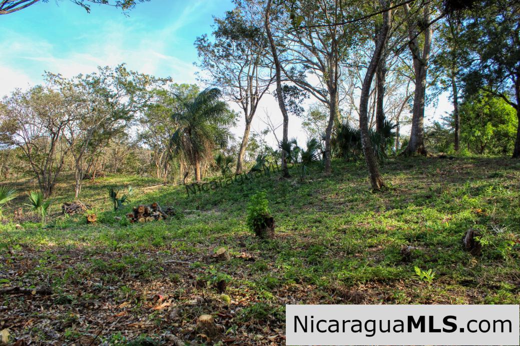 Mountain to Beach Half acre View La Cuesta SJDS - Image 10