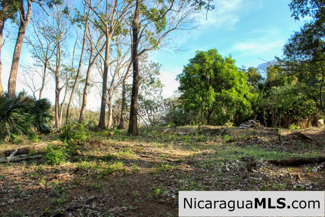 Mountain to Beach Half acre View La Cuesta SJDS - Image 11