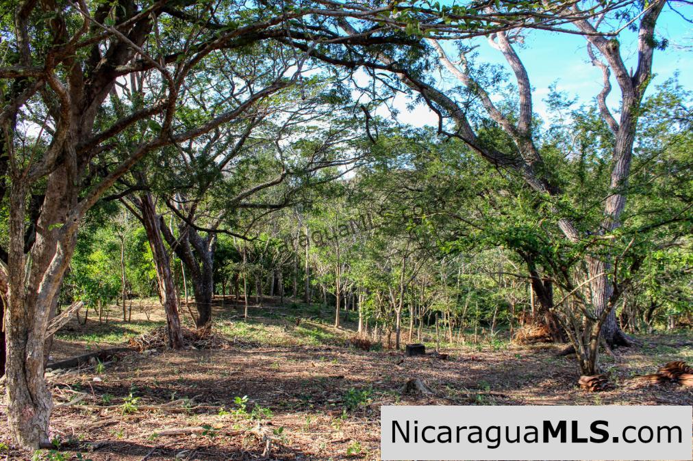 Mountain to Beach Half acre View La Cuesta SJDS - Image 12