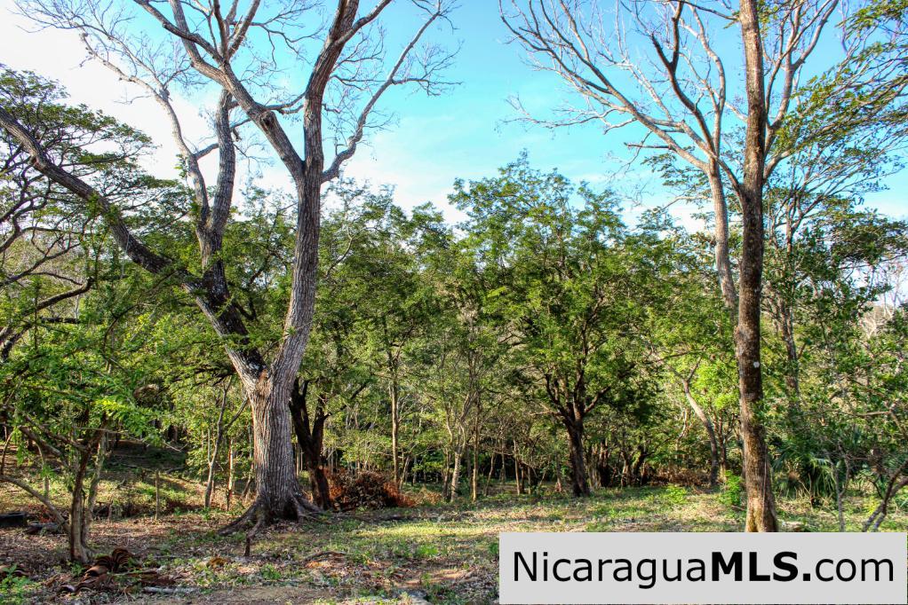 Mountain to Beach Half acre View La Cuesta SJDS - Image 13