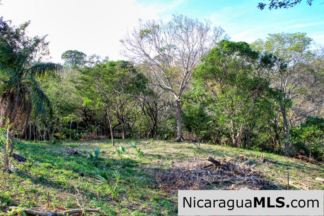 Mountain to Beach Half acre View La Cuesta SJDS - Image 14