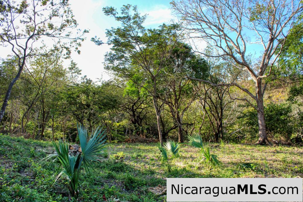 Mountain to Beach Half acre View La Cuesta SJDS - Image 15