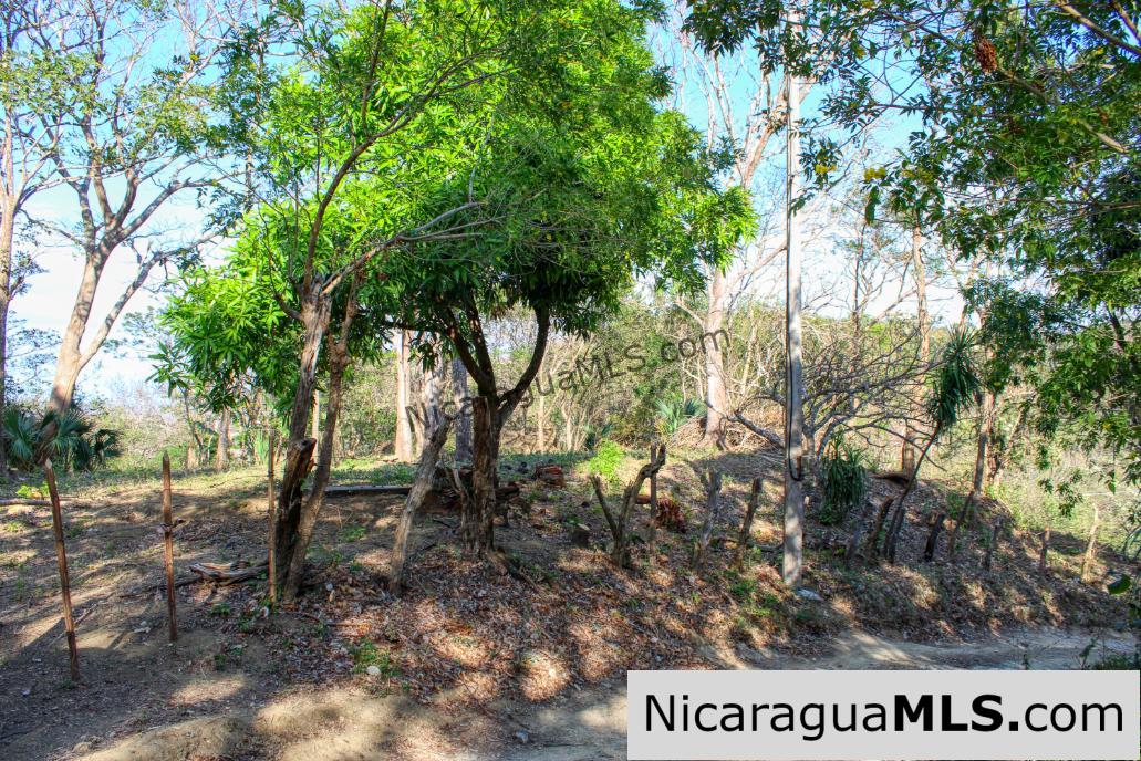 Mountain to Beach Half acre View La Cuesta SJDS - Image 17